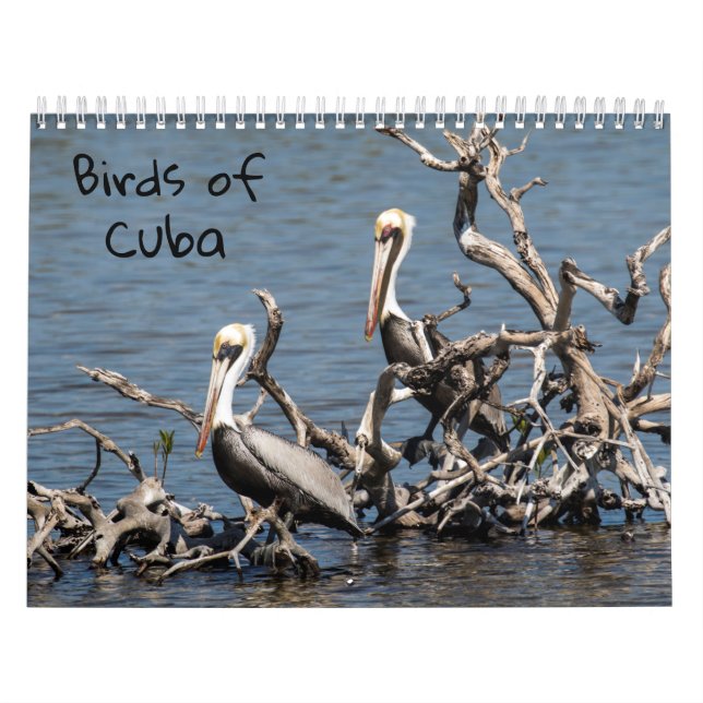 Pássaros do calendário de Cuba (Capa)
