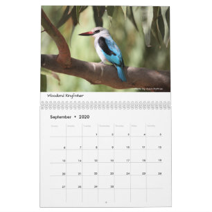 Pássaros do calendário de Etiópia