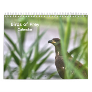 Pássaros do Calendário de Presas