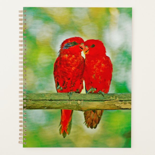 Pássaros do planejador amor (Frente)