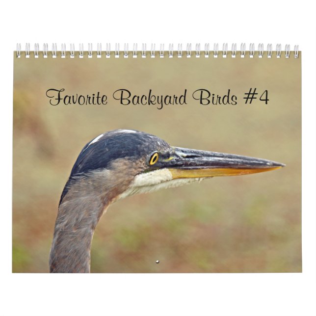 Pássaros do quintal favoritos do calendário (Capa)