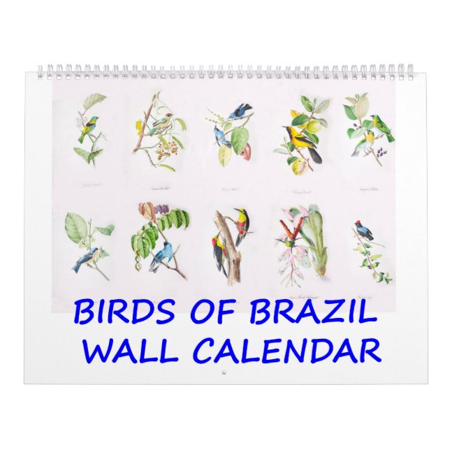 Pássaros do vintage do calendário de parede de (Capa)