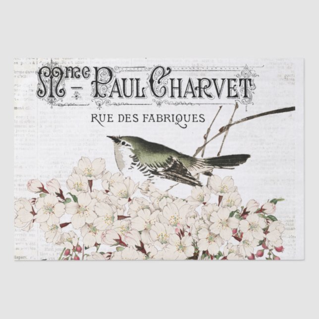 Pássaros e Papel Tecido Magnético (Frente )