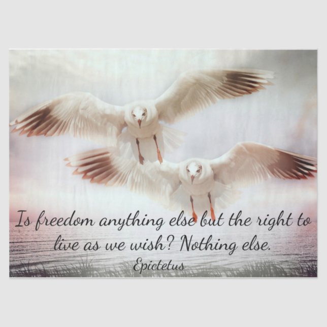 Pássaros em Papel Tecido de Voo (Frente )