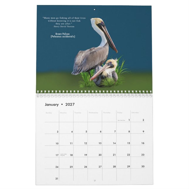 Pássaros fabulosos calendário de 12 meses (Jan 2027)