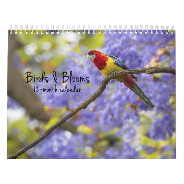 Pássaros & flores calendário de 12 meses (Capa)