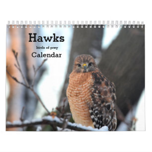Pássaros Hawks de presas Calendário
