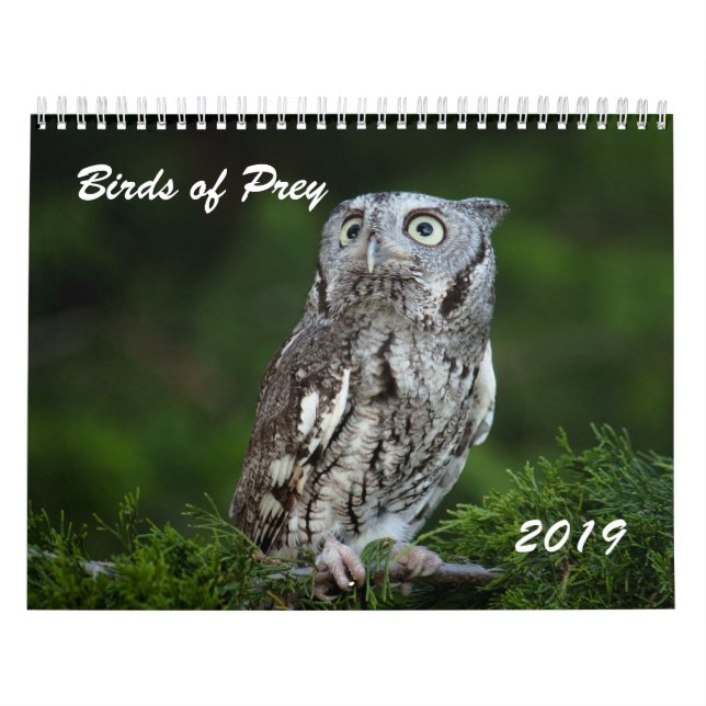Pássaros impressionantes do calendário 2019 da (Capa)