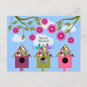 Pássaros lunáticos que movem o anúncio