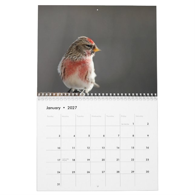 Pássaros no calendário do inverno 2015 (Jan 2027)