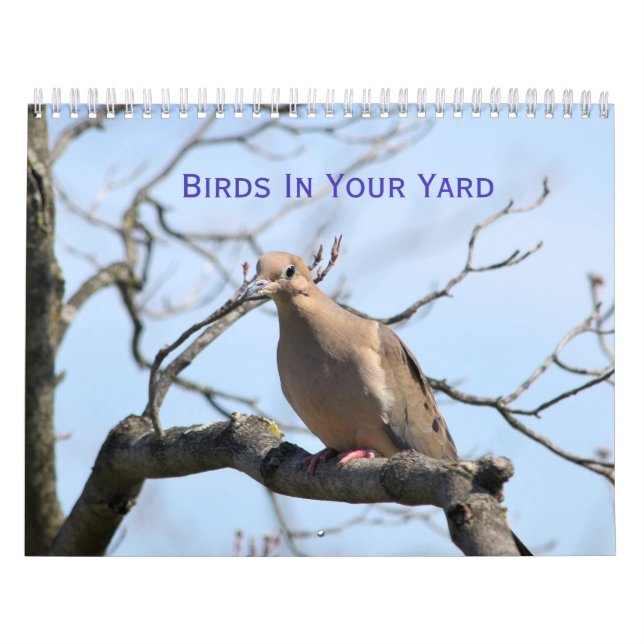Pássaros no seu calendário do quintal (Capa)