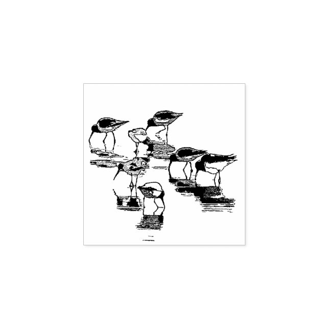 Pássaros Sanduíches Animais de Praia Carimbo de Ma (Impressão)