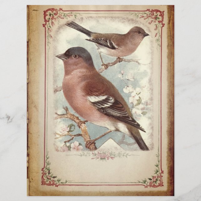 Pássaros Vermelhos em Papel de Livro Branqueado (Frente)