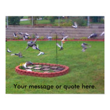 Pássaros Voando De Pássaros De Ala Seus Posters De