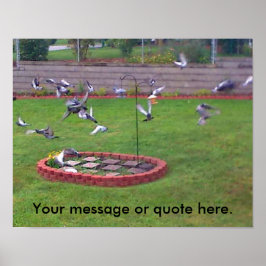 Pássaros Voando De Pássaros De Ala Seus Posters De