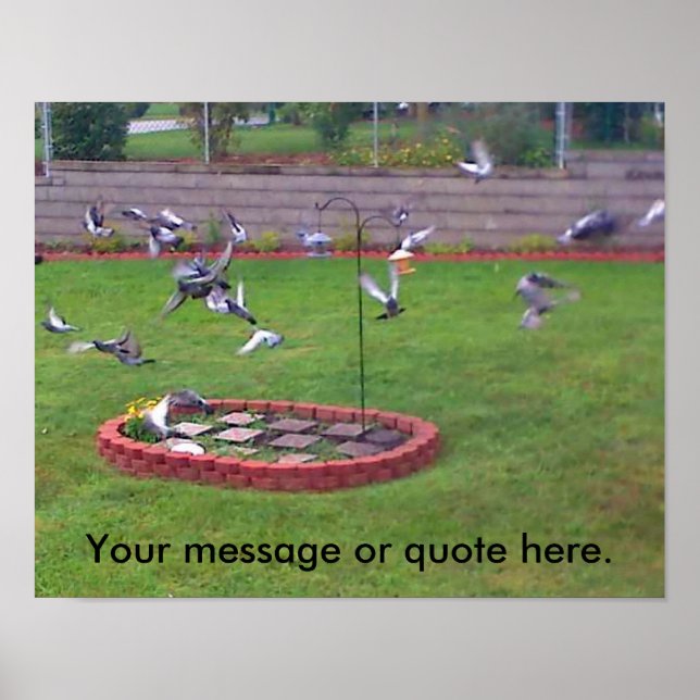 Pássaros Voando De Pássaros De Ala Seus Posters De (Frente)