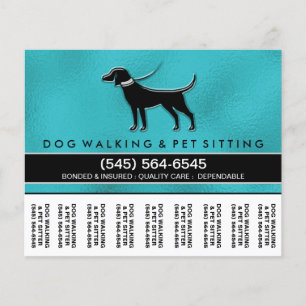 Passeador de Cães 5.6 x4.5 Flyer Teal Azul Preto