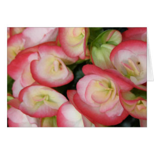 Passear No Cartão De Nota De Saudação Floral Do Pa