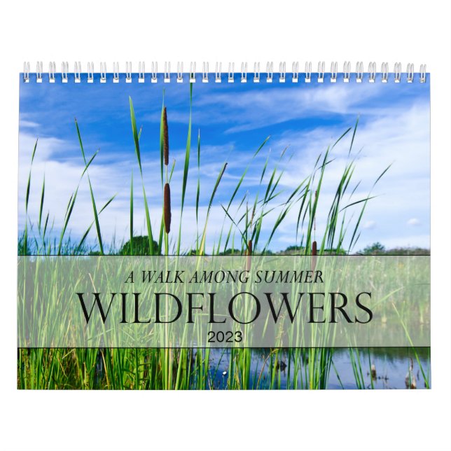 Passear pelo Calendário das Flores Selvagens de Ve (Capa)