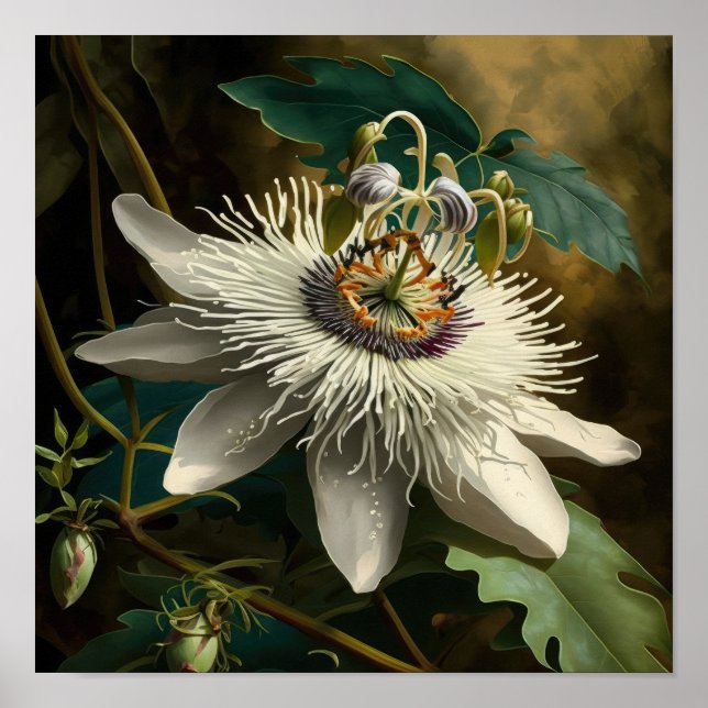 Passeio Branco, Impressão de Arte Flor Poster (Frente)