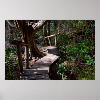 Passeio de floresta tropical com Impressão Steps
