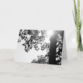 Passeio no cartão de nota w/envelop de Sun