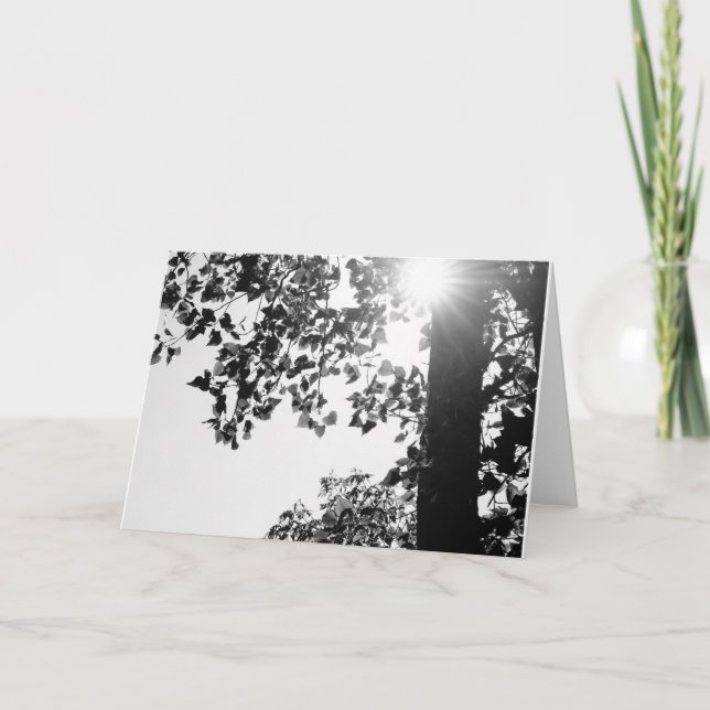 Passeio no cartão de nota w/envelop de Sun (Frente)