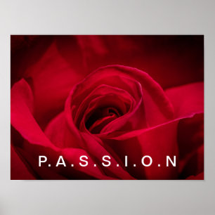 Passion Red Rose Poster
