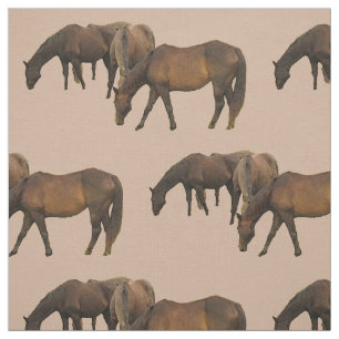 Pastando o tecido dos cavalos