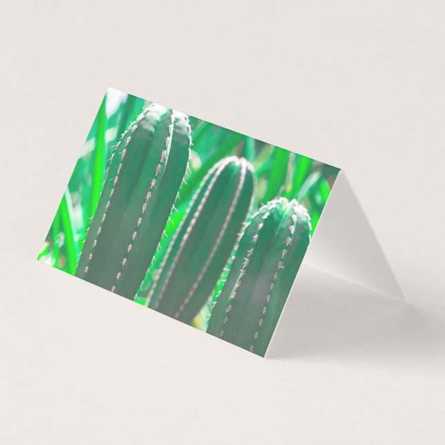 Pastel de cacto verde deixa pastel (Frente)