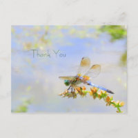Pastel Dragonfly Obrigado Cartão Postal