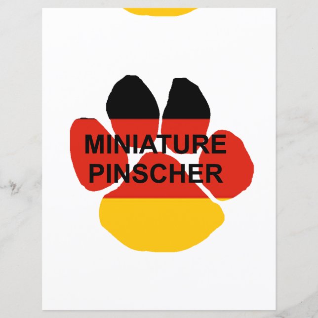 pata de pinscher em miniatura (Frente)