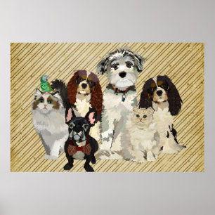 Patas, garras & poster da arte das penas