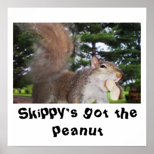 patatootie do cutie, Skippy obtido o poster do