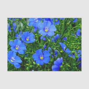 Patch do PAPEL WRAP Flor de Linum Azul-Linho-TECID