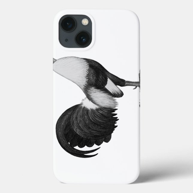 Pato De Cinza De Gamecock (Verso)