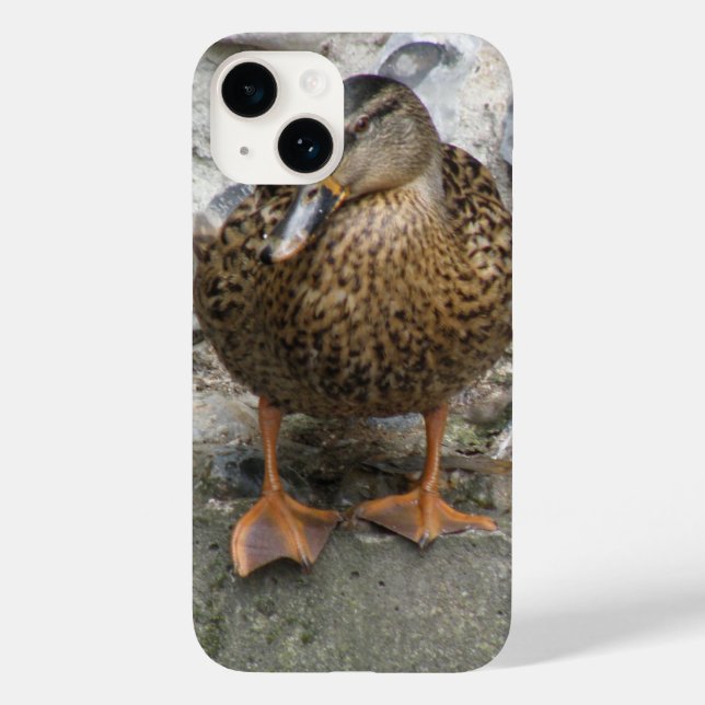 Pato em uma Parede (Verso)