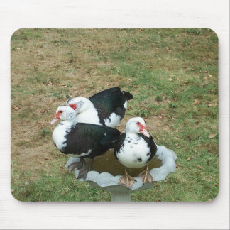 Pato Mousepad