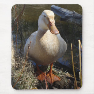 Pato Mousepad de Saxony
