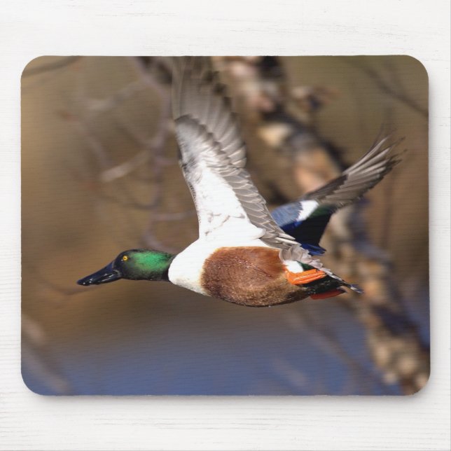 Pato Mousepad do pato-colhereiro do norte (Frente)
