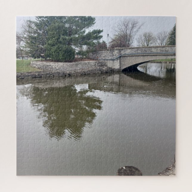 Pato Na Quebra-cabeça Do Jigserra De Água (Vertical)