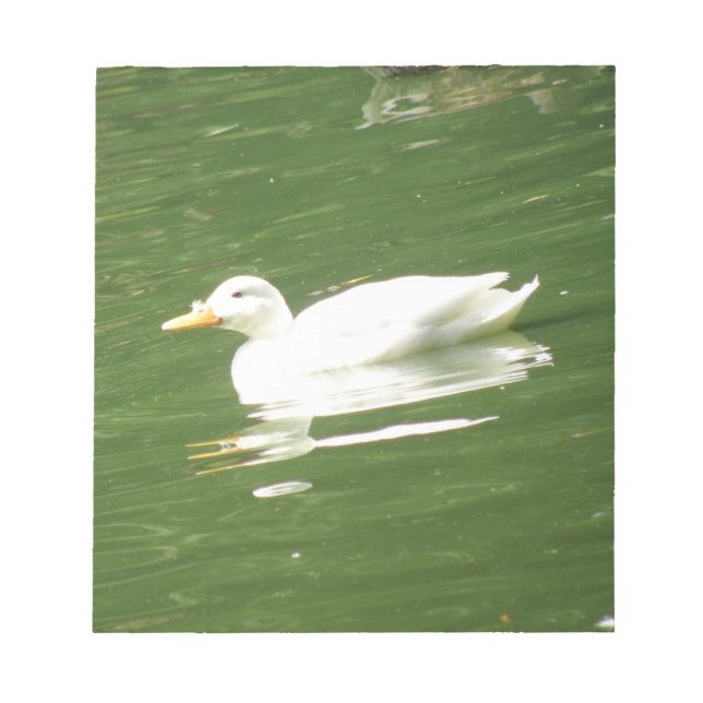 Pato no Bloco de Notas de Água (Frente)