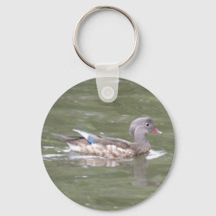 Pato no lago Chaveiro