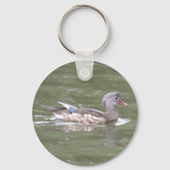 Pato no lago Chaveiro (Frente)