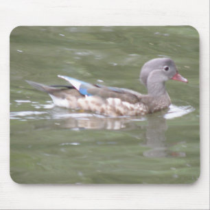 Pato no lago Mousepad