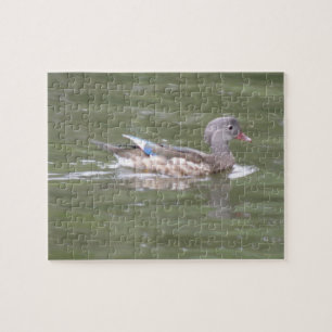 Pato no lago Quebra-cabeça
