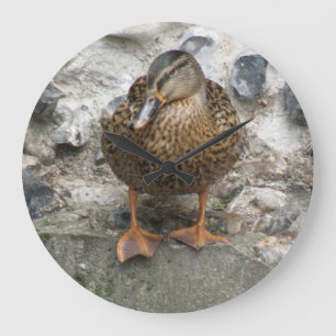 Pato num Relógio de Parede