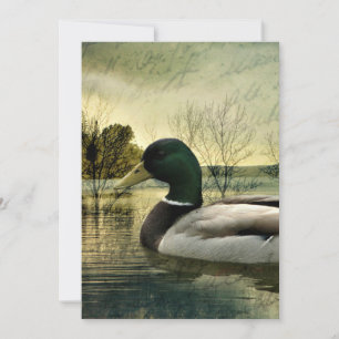 Pato-real Antigo Cartão Postal Envelhecido