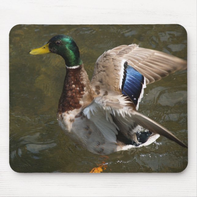 pato-real prestes a voar mousepad (Frente)