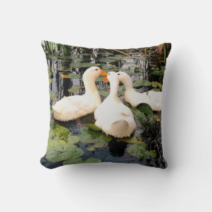 Patos brancos, almofadas de lírios, cattails, cost
